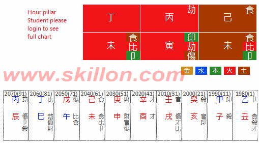 ZhangZiyi 章子怡八字 BaZi Four Pillars of Destiny Patt Chee